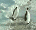 ������